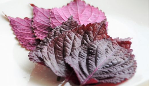 赤紫蘇の保存方法は？冷蔵庫でOKも、新鮮が一番！賞味期限や効能も