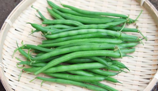さやいんげんといんげん豆の違いは？絹さやや三度豆も！レシピも