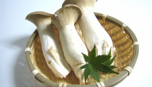 エリンギアレルギーの症状｜赤ちゃんは離乳食でいつから食べられる?