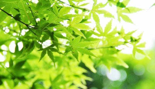 いろはすと他の天然水の違いは?それぞれの特徴や飲むときの注意点