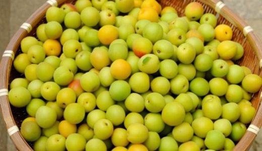 カリカリ梅は苦い？渋い？アク抜きや材料に注意！作り方や注意点も