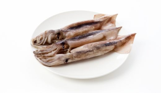 イカの刺身は冷凍保存がおすすめ?アニサキスはいる?解凍方法は?