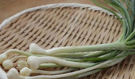 ノビルの食べ過ぎで食中毒に?体に悪い?毒性･食べ方･注意点は?