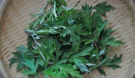 よもぎのアレルギー持ちでも草餅は食べられる？注意点や症状を紹介