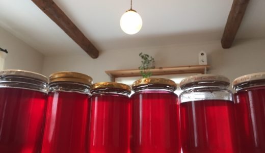 青梅ジャムが苦い・エグみが強いのはなぜ?対処法やアク抜き方法