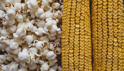ポップコーンの品種はどんなもの?ポップ種だけしか作れないの?