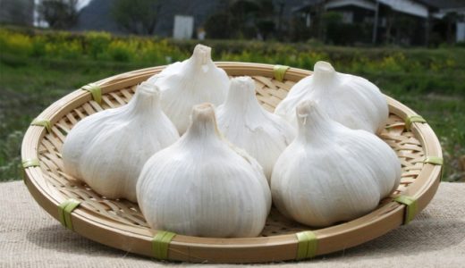 【福地ホワイト六片】低臭にんにくがうますぎ！効果・栄養を解説！