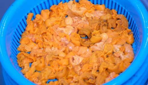ウニの種類は?ランクがあるの?どんなウニがおすすめ?おすすめ品種
