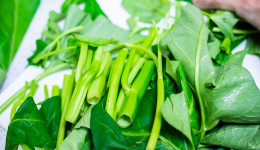 空芯菜の保存方法･日持ち｜冷蔵･冷凍･常温｜腐るとどうなる?