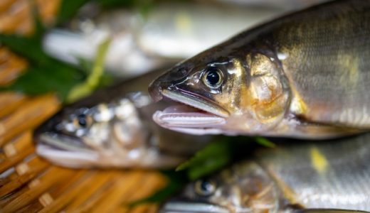 イワナとヤマメはどっちが美味しい?アジの違いや食べるときの注意点