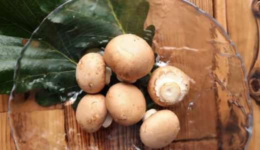 マッシュルームは冷凍がおすすめ！保存方法や長持ちのコツも紹介