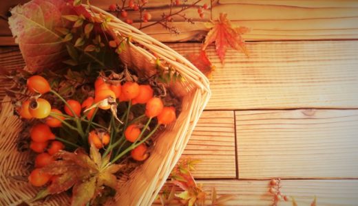 ローズヒップの色が変わるのはなぜ?その秘密はアントシアニン!