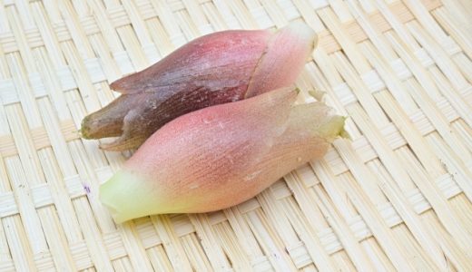 みょうがは苦い?辛い?どんな味?食べ続けると得られるメリットは?