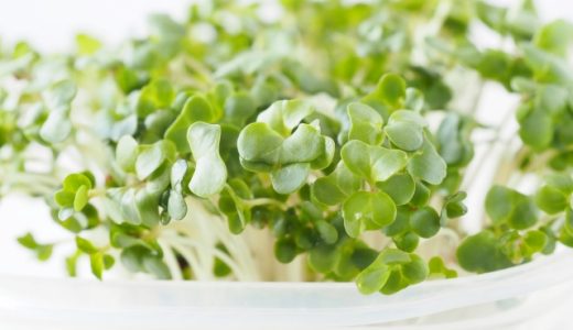 ブロッコリースプラウトの賞味期限はどれくらい?おすすめの食べ方