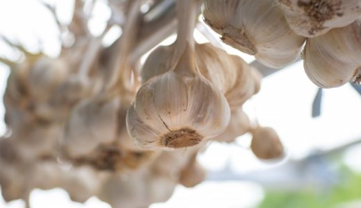にんにくはひとかけでも臭い?どれくらいまでなら大丈夫?ケア方法は?