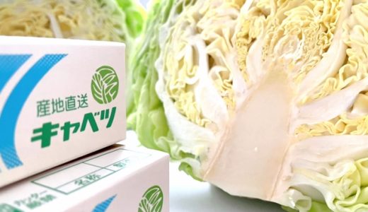 キャベツが臭い？原因は辛味成分や微生物、水洗いや加熱調理を！