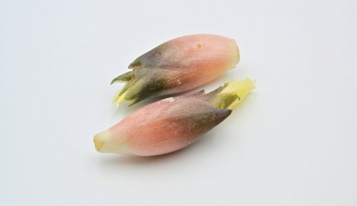 みょうがが変色で黒い・緑色に！変色の原因と対処法を紹介！