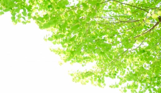 スピルリナで太る理由は?ダイエットサプリで痩せにくくなるって本当?