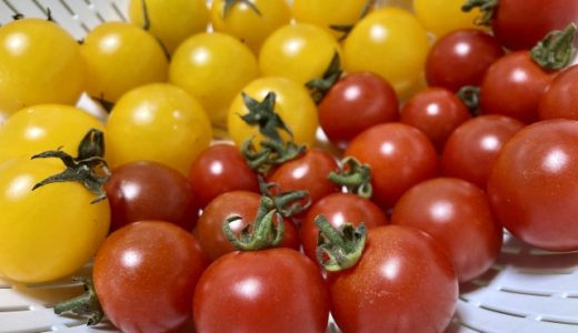 ミニトマトが酸っぱい理由を紹介！対処法やおいしく食べる工夫も