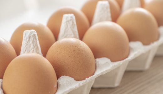 【卵の常温放置】夏場はNG！冷蔵庫に入れ忘れたけど保存期限は？