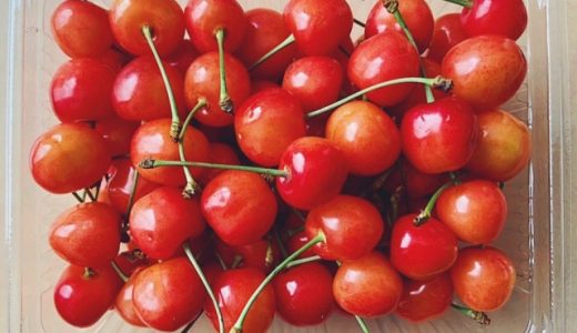 さくらんぼの佐藤錦と紅秀峰の違いとは？どちらが優れている？