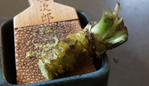 わさびはそのまま食べることができる?美味しいわさびの食べ方