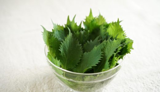 大葉の塩漬けを変色させないコツ｜日持ち･保存方法｜冷凍できる?