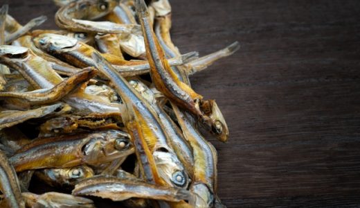 煮干しの出汁の取る際の温度や手順は?基本から常識破りな方法まで紹介