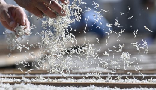 ちりめんじゃこの一日摂取量はどれくらい食べ過ぎるとどうなるの?