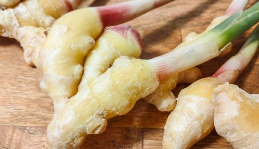 新生姜の佃煮はどれぐらい日持ちする？作り置きの最適な保存方法は？