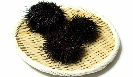 ムラサキウニの毒性はどのくらい？危険性や食べ方・処理の仕方も！