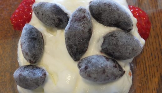 ハスカップアレルギーとは?バラ科アレルギーに注意?症状や対処法は?