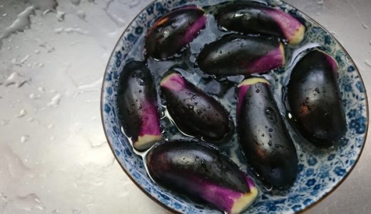 水ナスはそのまま生食しても大丈夫？一番美味しく食べる方法はコレ！