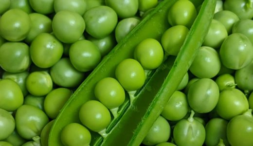 グリーンピースは冷凍保存？ サヤごとで鮮度維持、豆のみでコンパクト