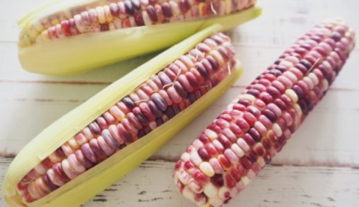もちとうもろこしはまずい?美味しい?どんな品種?おすすめの食べ方