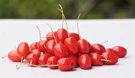 グミの実の食べ過ぎには注意？ 渋味成分タンニンや食物繊維に注意！