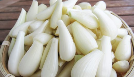 らっきょうを毎日食べると太る？成分や栄養素・体の変化を紹介