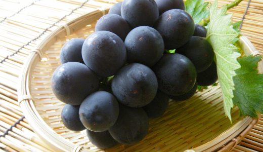 巨峰の賞味期限･日持ち｜ぶよぶよ･ふにゃふにゃは腐ってる?