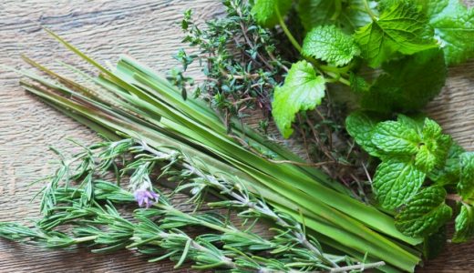 レモングラスで便秘が治った!？驚くべき効果・効能を解説します