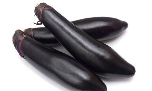 長茄子と茄子の違いは何か？味や匂い使い方に違いなどはあるのか？