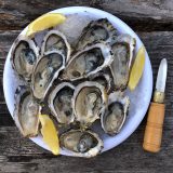 岩牡蠣と真牡蠣はどっちが美味しい?旬･食べ方･生食できる?