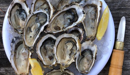 岩牡蠣と真牡蠣はどっちが美味しい?旬･食べ方･生食できる?