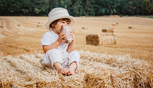 妊娠中にパンばかり食べると子どもが小麦アレルギーになる?