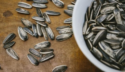 ひまわりの種を生でそのまま食べる！どんな味？毒性はあるの？