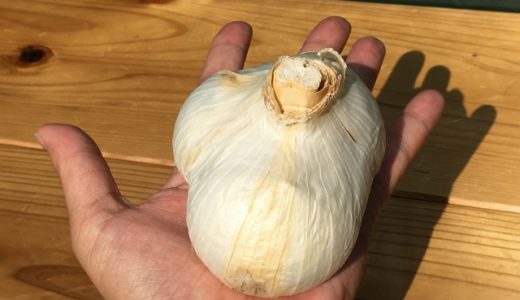 ジャンボにんにくはまずい?美味しい?みんなの口コミは?食べ方は?