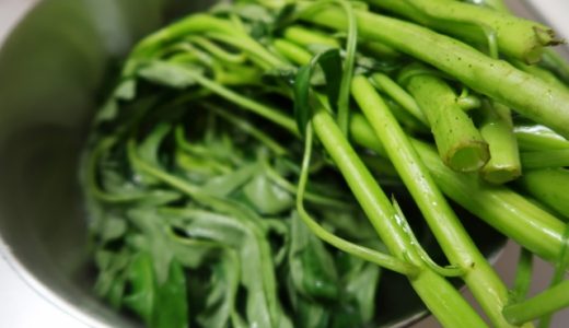 空芯菜は危険?シュウ酸が多いの?体を冷やす性質があるって本当?