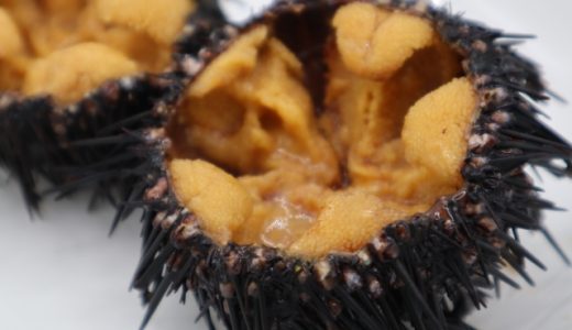 ムラサキウニとバフンウニの違いを比較して解説！各口コミや評価も