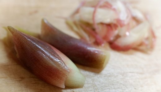 みょうがは生でそのまま食べられる？刺身風アレンジのコツを紹介
