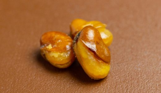 フライビーンズの皮は食べることができる?食べ過ぎると血圧が上がる?