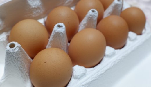 生卵はサルモネラ菌食中毒が危険？日本で安全に食べられる理由